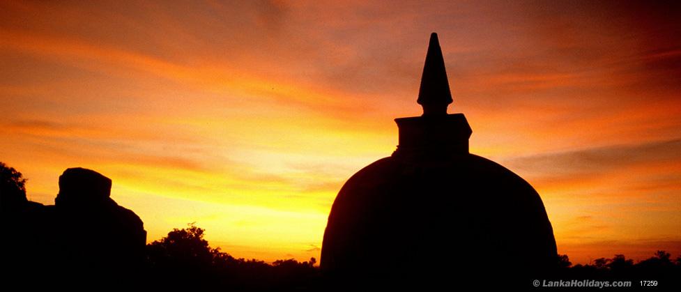 Share the Miracle  7Ds-6Ns